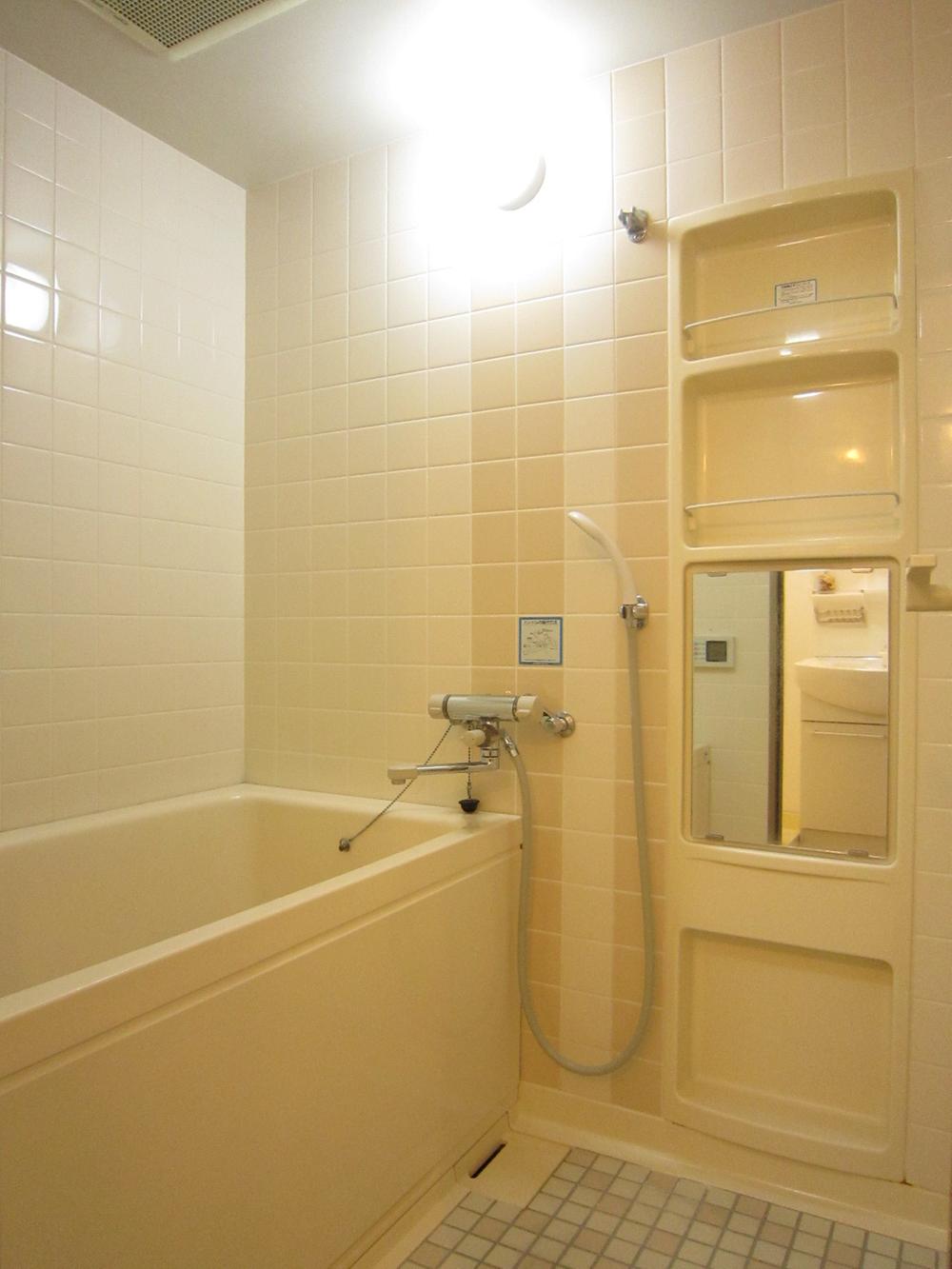 Bathroom. Indoor (12 May 2013) Shooting