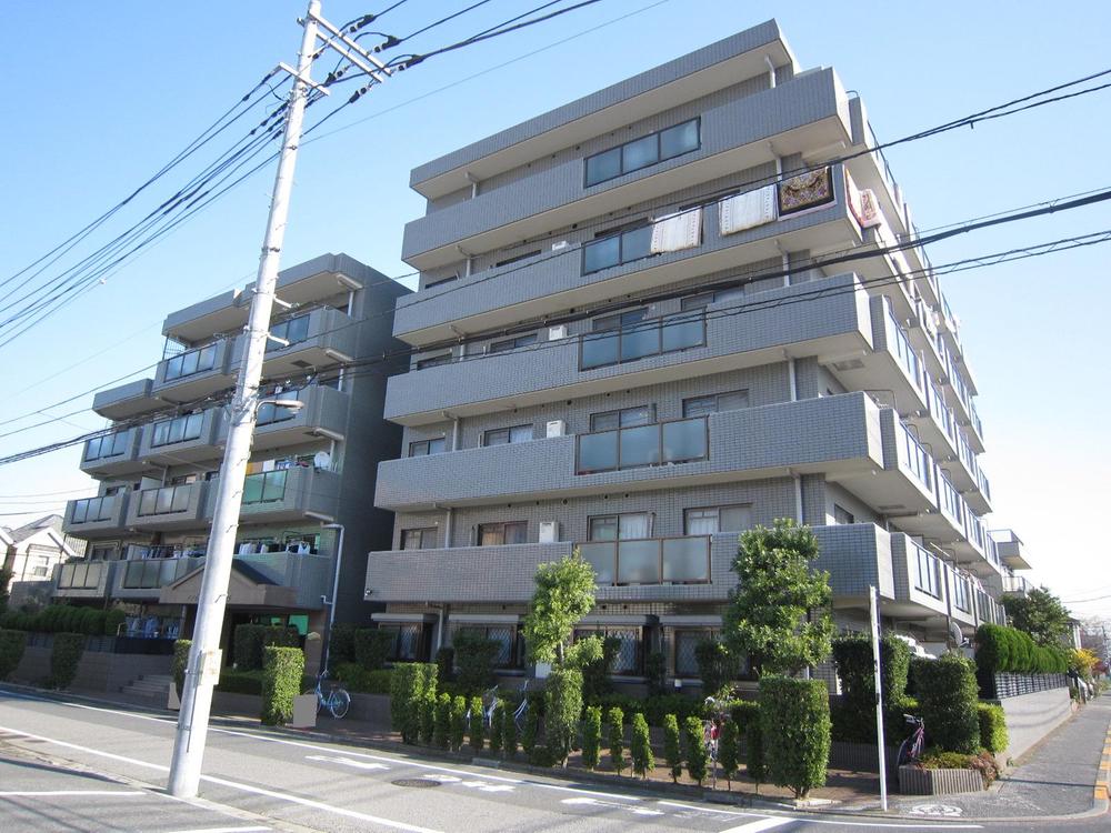 Local appearance photo. Local (12 May 2013) Shooting