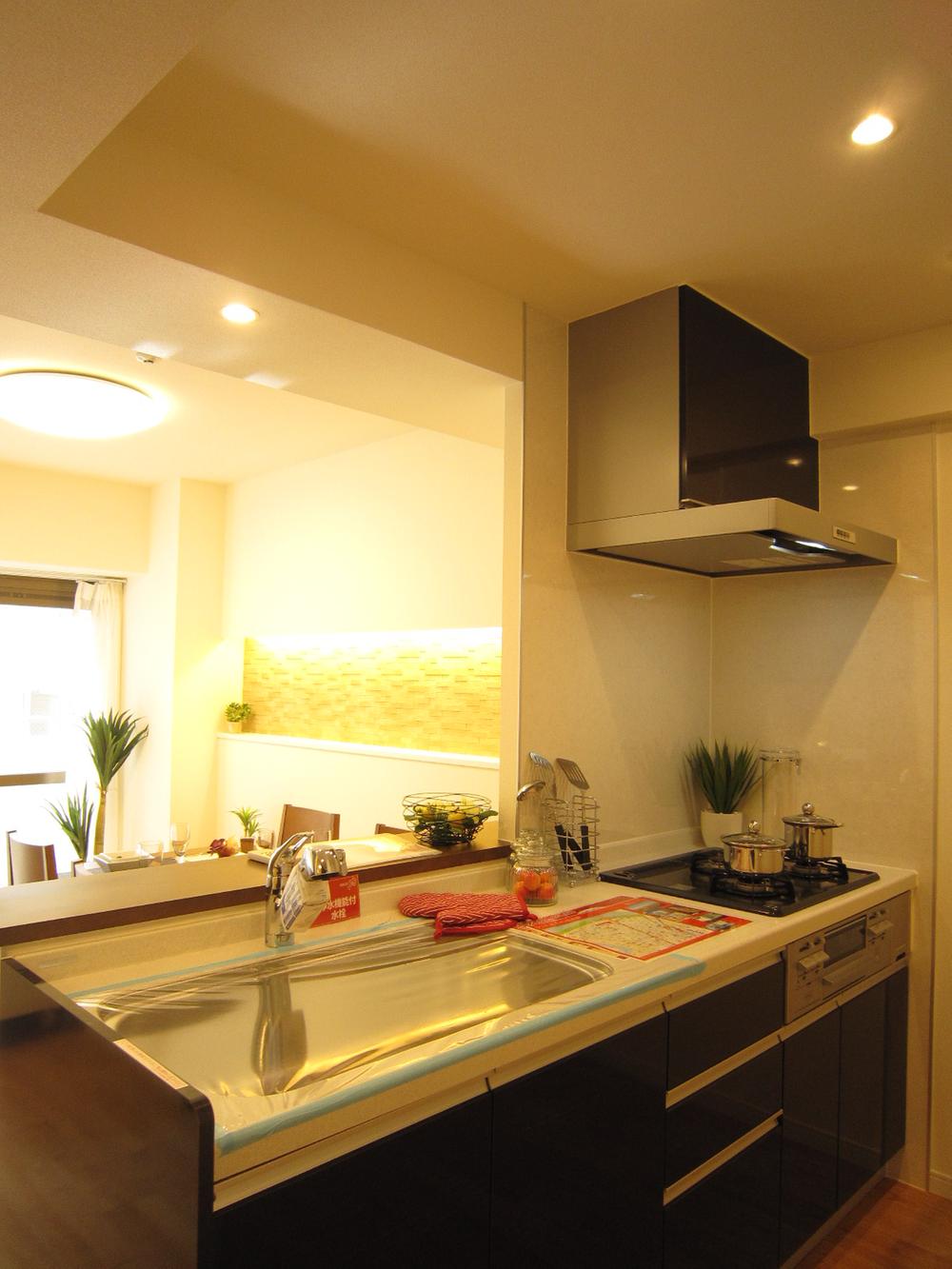 Kitchen. Indoor (11 May 2013) Shooting