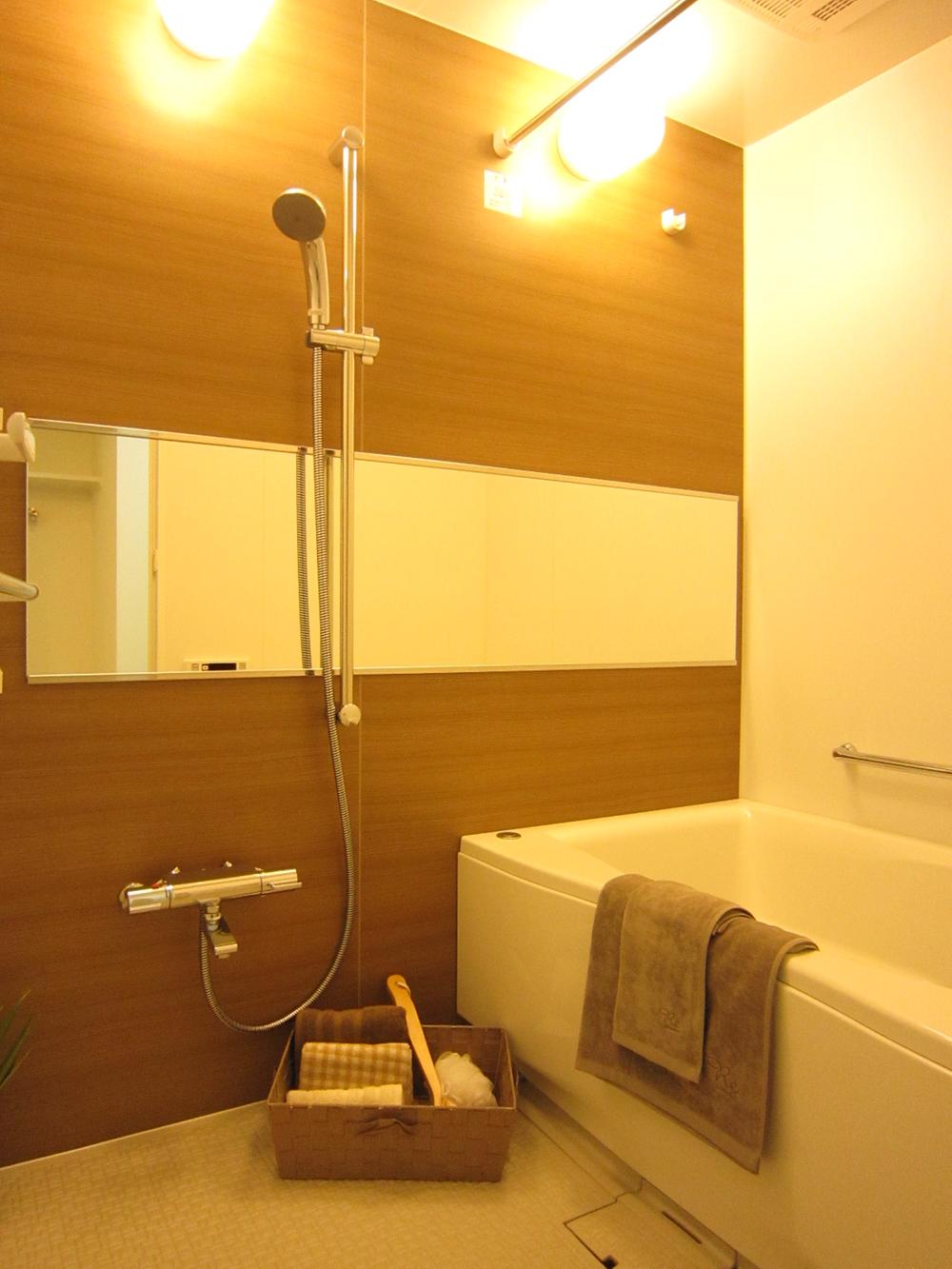 Bathroom. Indoor (11 May 2013) Shooting