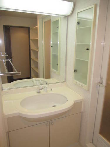 Washroom. Bathroom vanity