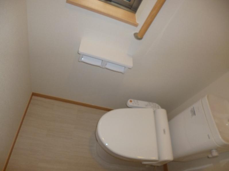 Toilet. Shower toilet