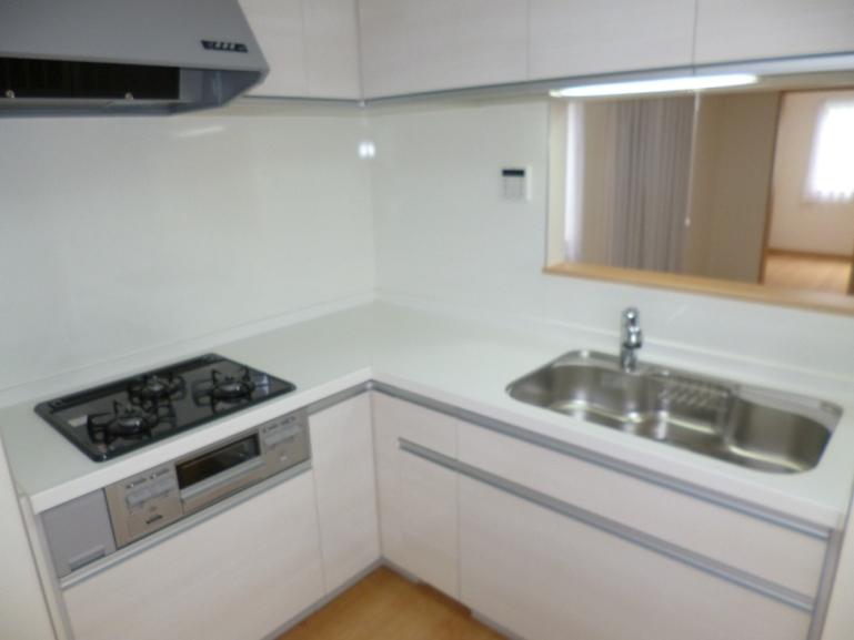 Kitchen. Face-to-face kitchen