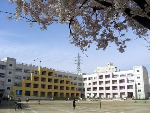 Junior high school. 856m to Adachi Ward ninth junior high school