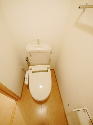 Toilet. Toilet