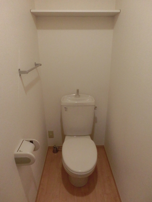 Toilet. Toilet with storage shelves and towel hanger