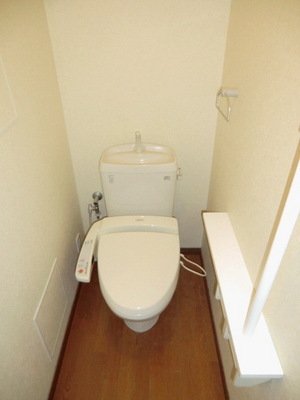 Toilet. Bidet function toilet