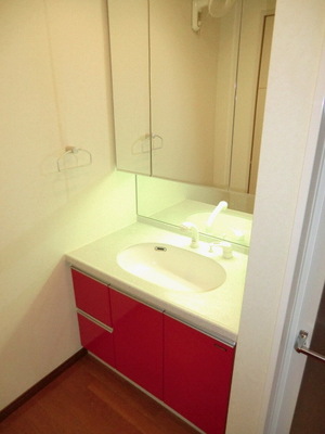 Washroom. Vanity with separate wash basin