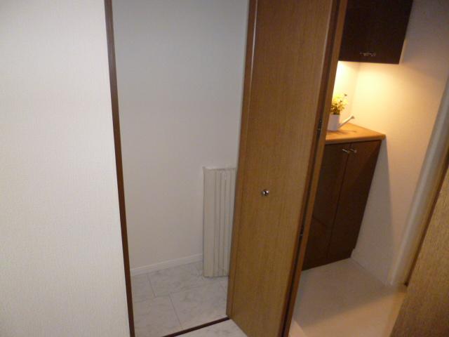 Other introspection. Convenient corridor storage