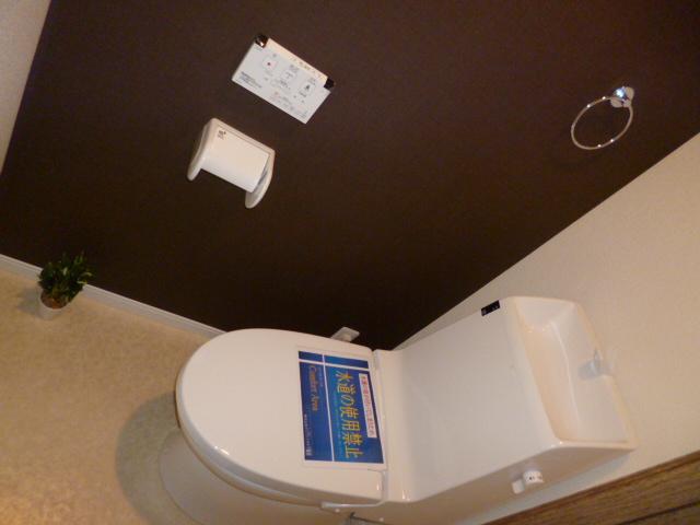 Toilet. Shower toilet