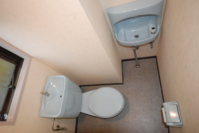 Toilet. Washbasin in the toilet