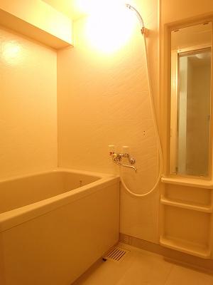 Bathroom. Indoor (July 2013) Shooting It is your beautiful