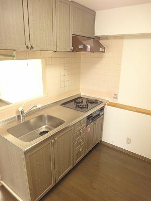 Kitchen. Indoor (July 2013) Shooting