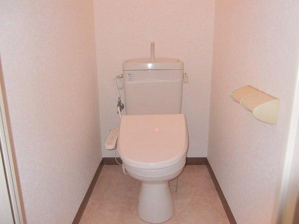 Toilet. With Washlet!