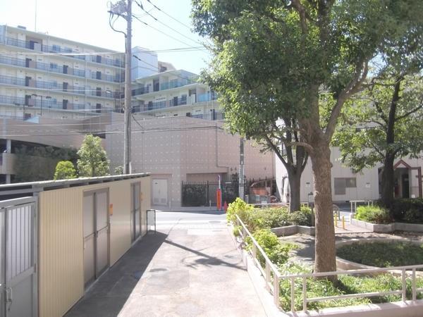 View photos from the dwelling unit. Balcony before the park!