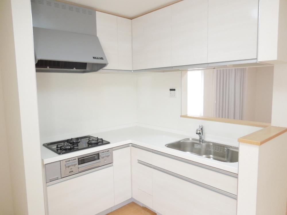 Kitchen. Popular face-to-face kitchen