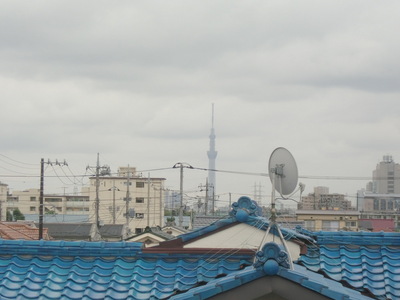 View. None Building before that's Sky tree you will see the third floor