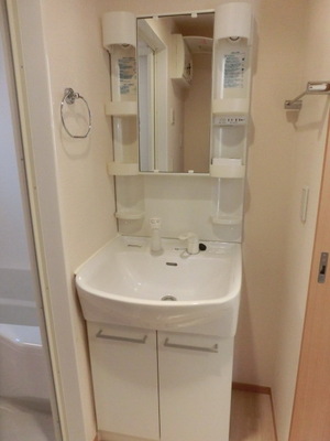 Washroom. Shampoo dresser equipped