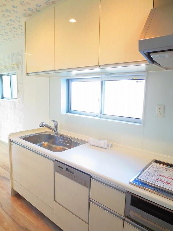 Kitchen. Local (12 May 2013) Shooting