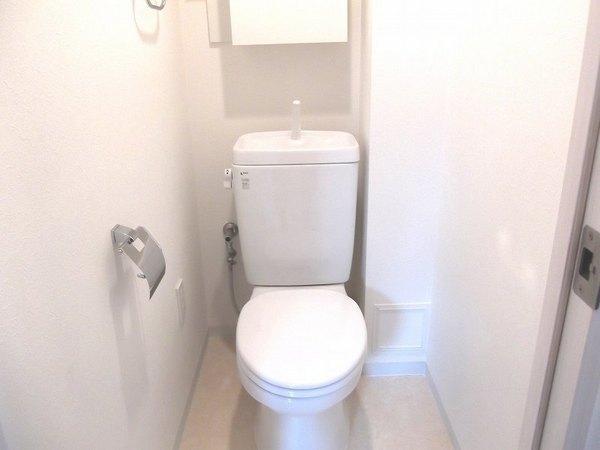 Toilet. With hanging cupboard!