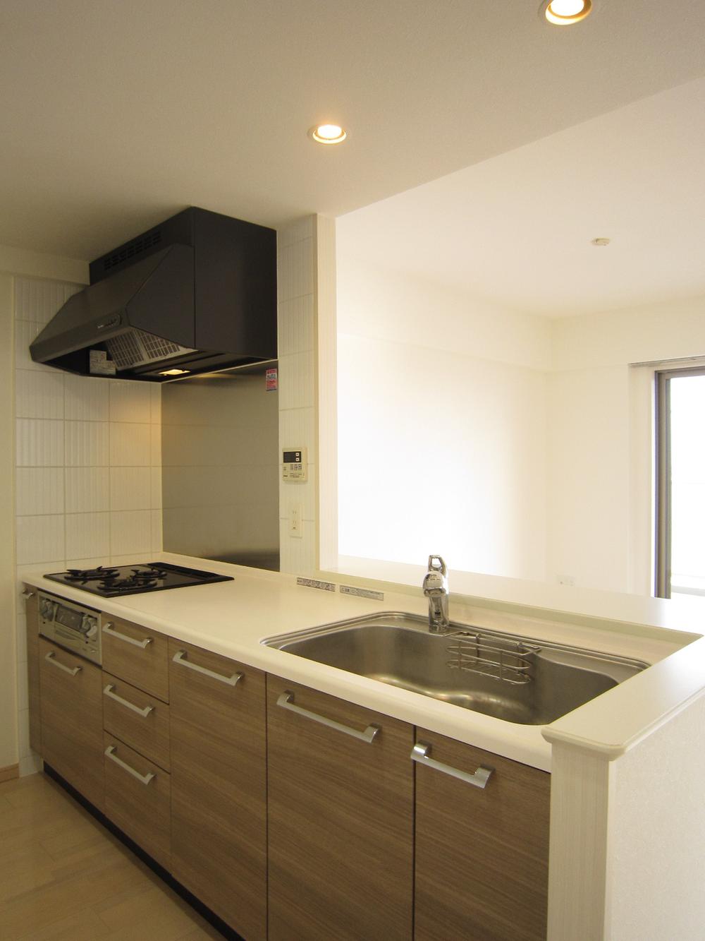 Kitchen. Indoor (11 May 2013) Shooting