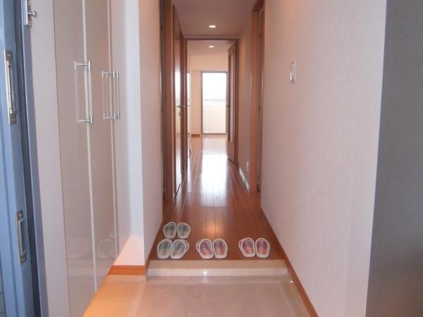 Entrance. Welcome you a beautiful front door!