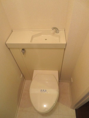 Toilet. Toilet