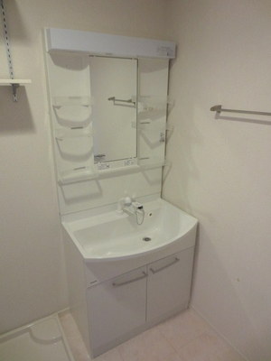 Washroom. Popular shampoo dresser