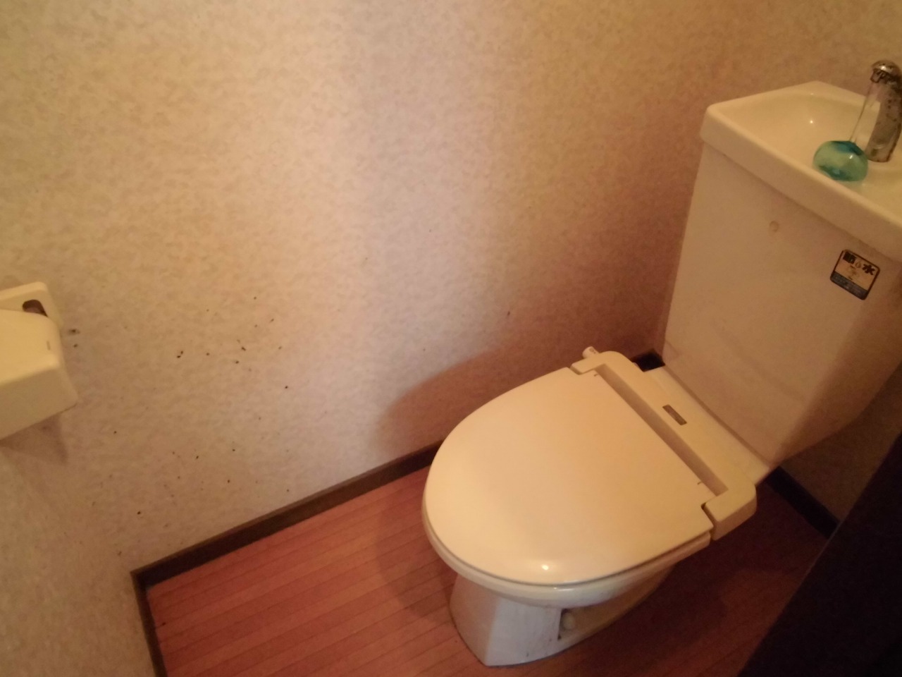 Toilet