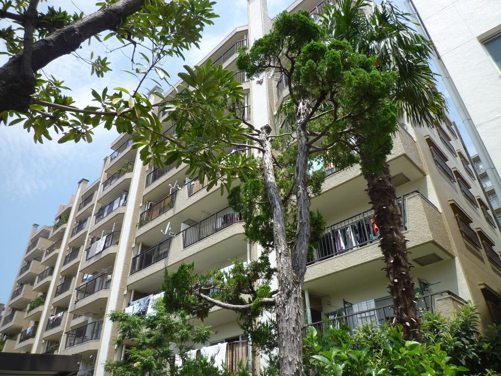 Local appearance photo. Local (July 2013) Shooting