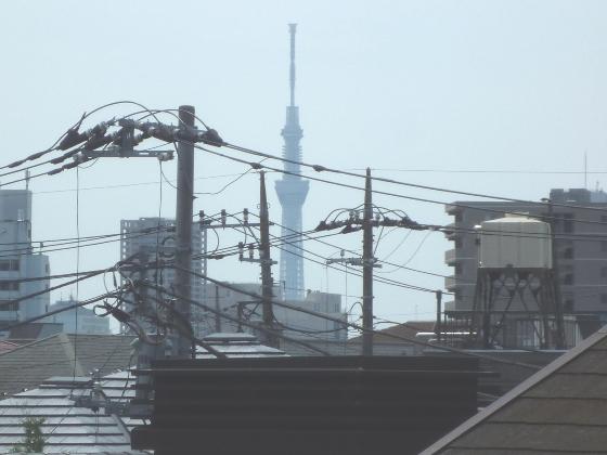 View photos from the dwelling unit. View from the site (July 2013) Shooting