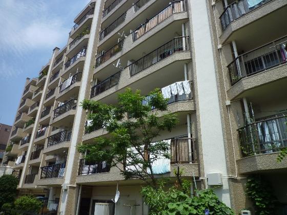 Local appearance photo. Local (July 2013) Shooting