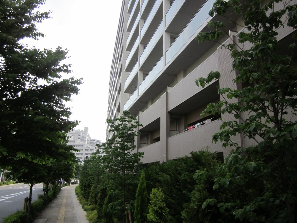 Local appearance photo. Local (January 2013) Shooting