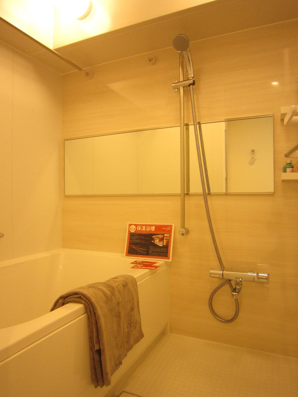 Bathroom. Indoor (10 May 2013) Shooting