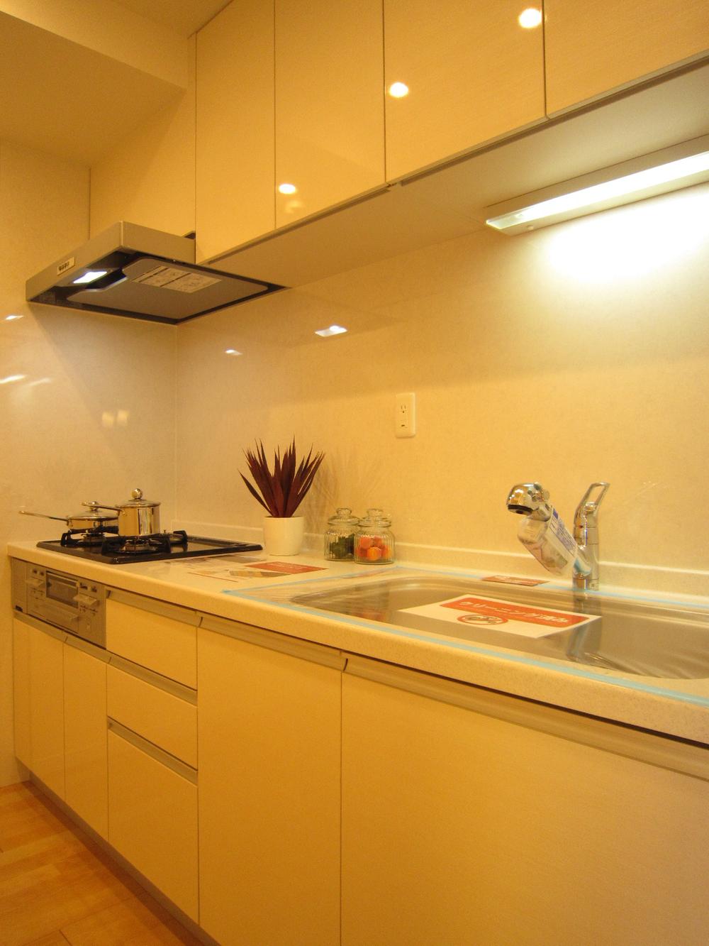 Kitchen. Indoor (10 May 2013) Shooting