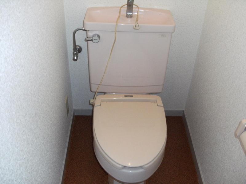 Toilet. Toilet (warm toilet)