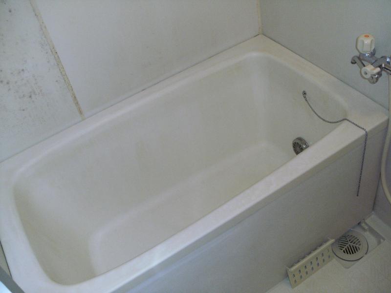 Bath. Tub (with add-fired function)