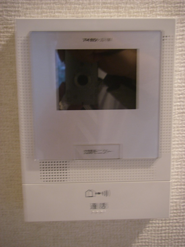 Security. Intercom with TV monitor