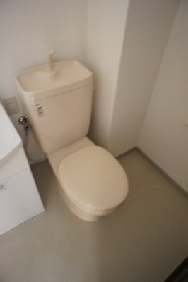 Toilet. Washroom and toilet sharing