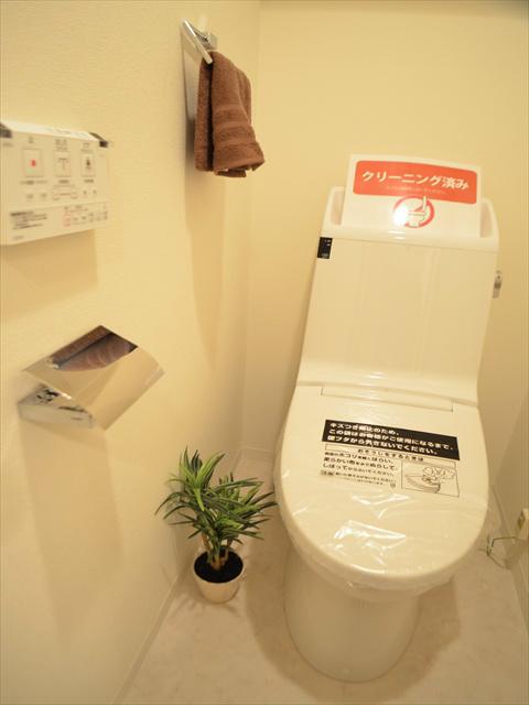 Toilet. Shower toilet already replaced