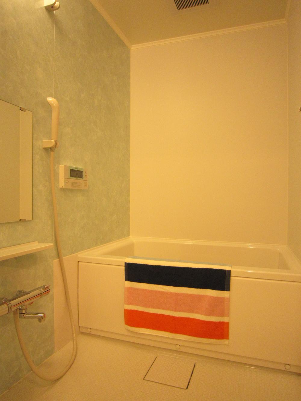 Bathroom. Indoor (10 May 2013) Shooting