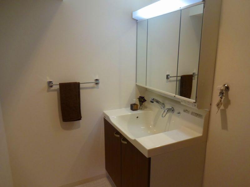 Wash basin, toilet. Bathroom vanity