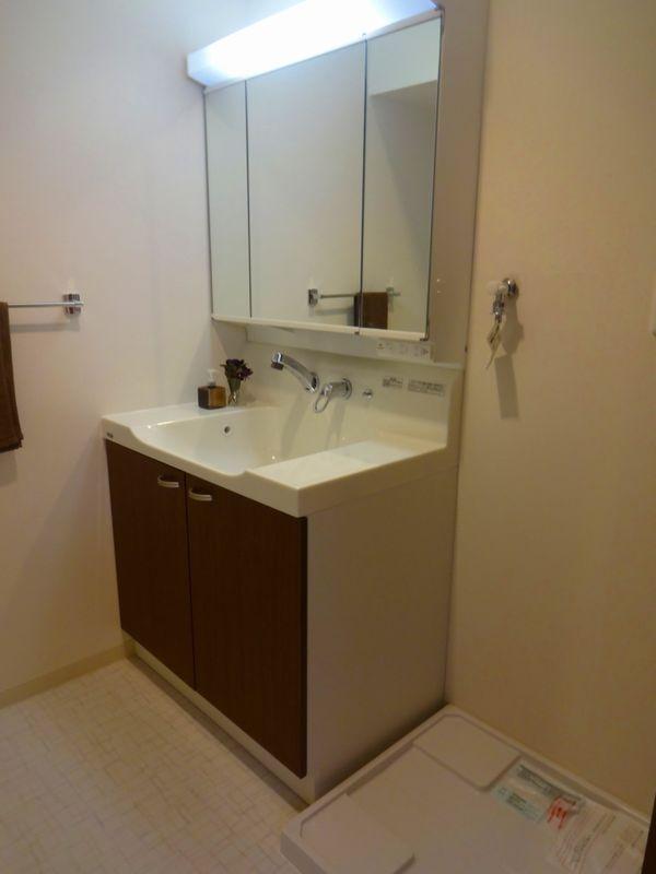 Wash basin, toilet. Bathroom vanity