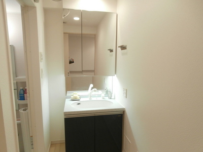 Washroom. Vanity (with three-sided mirror storage)