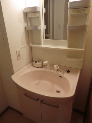 Washroom. Popular shampoo dresser