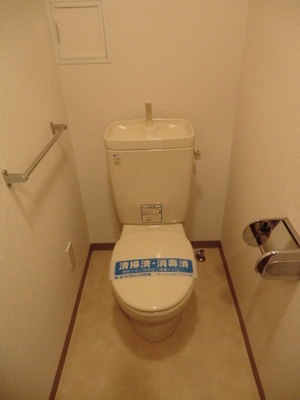 Toilet. Western-style toilet