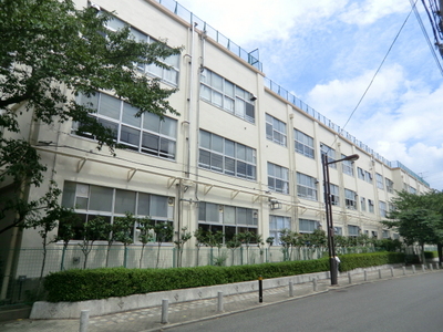 Primary school. Flower garden 1200m up to one elementary school (elementary school)