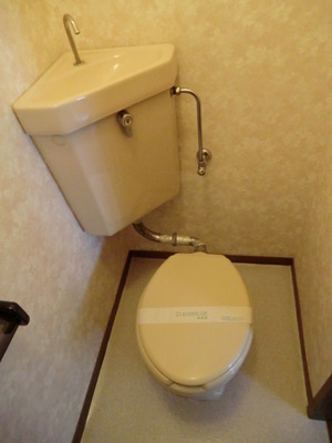 Toilet. Western-style toilet