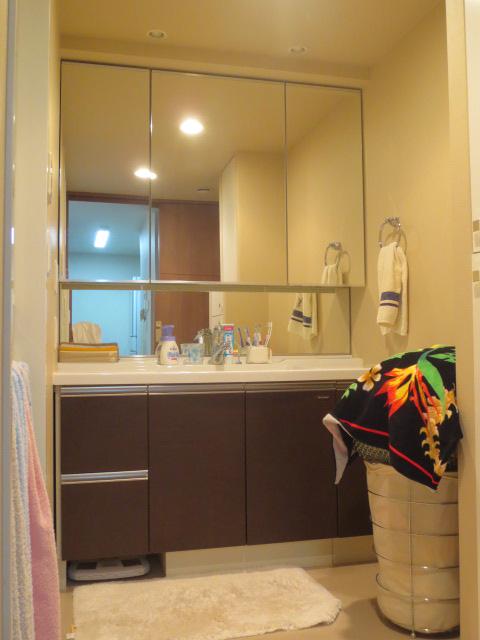 Wash basin, toilet. Indoor (10 May 2013) Shooting