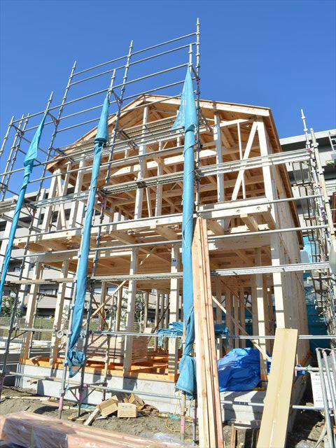 Local appearance photo. South is facing